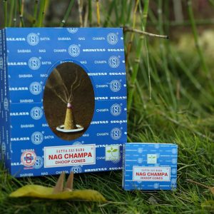 cones nag champa