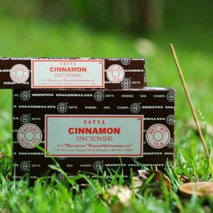 Encens Cannelle - Satya cinnamon