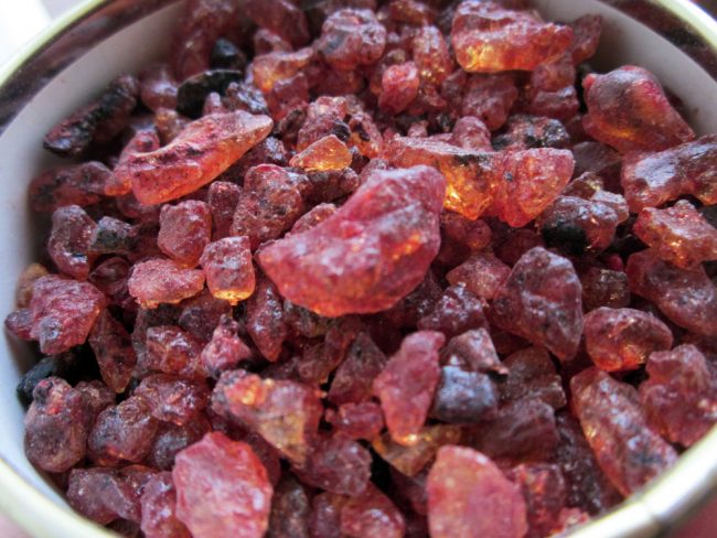 Dragon’s Blood (sang de dragon)