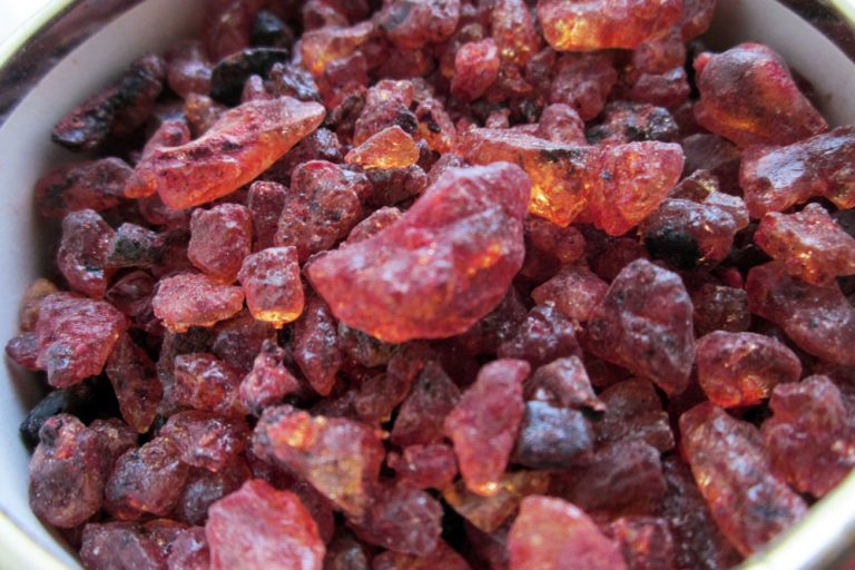 Dragon’s Blood (sang de dragon)